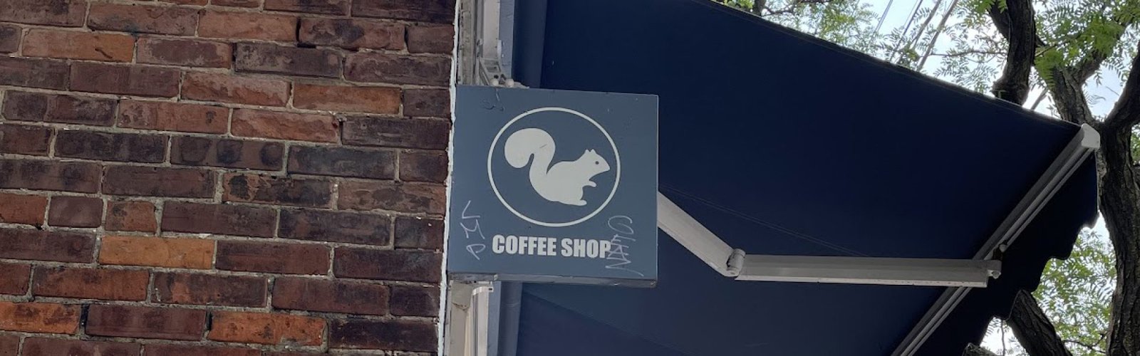 White Squirell Coffee Shop
